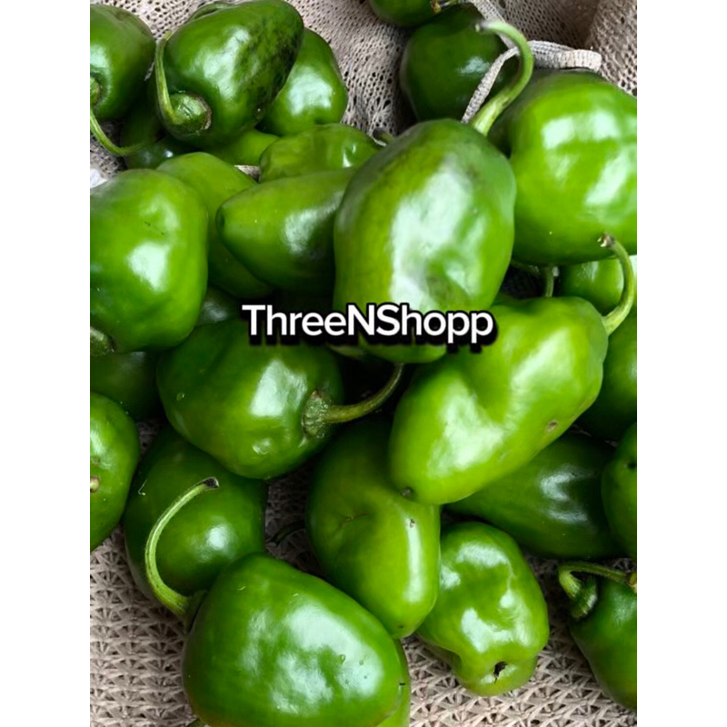 

CABE GENDOT FRESH | CABAI GENDOT | CABAI GENDOT SUPER BESAR