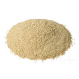 

Premium Garlic Powder 100gr / Bawang Putih Bubuk Murni Halal 1 ons