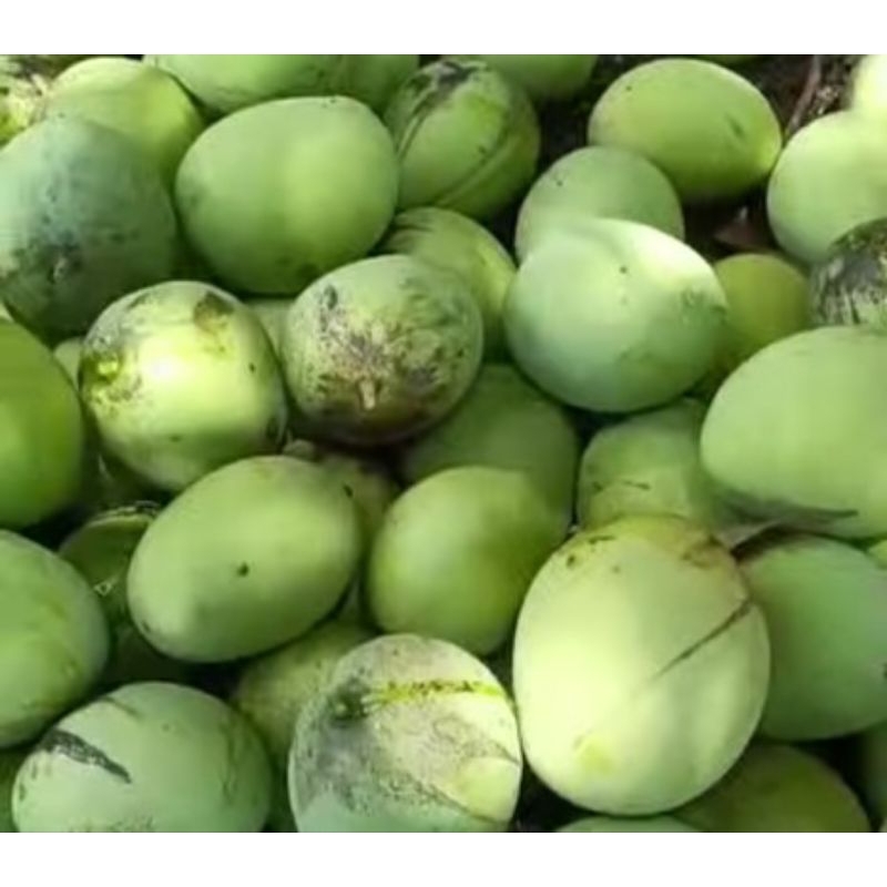

mangga apel