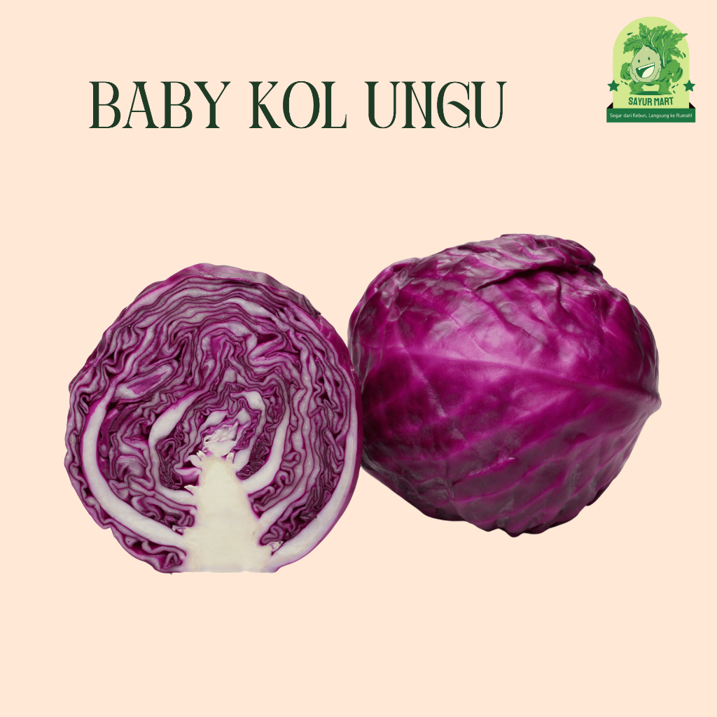 

Baby Kol Ungu 300 Gram