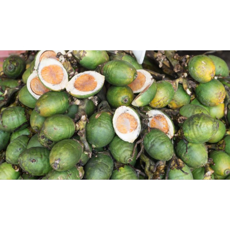 

cod buah jambe muda/tua 1k ready stok AF