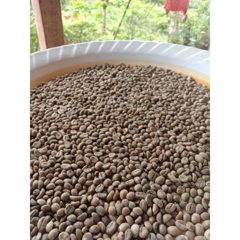 

kopi robusta sumatera barat