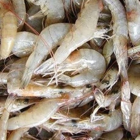 

Udang Kecil 100gr Segar Kering Siap Masak Cocok Sambal Goreng Tumis Nasi Goreng Lauk Lezat