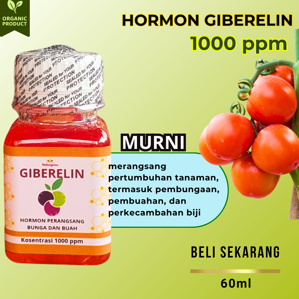 Giberelin Super Hormon 1000 ppm Murni-Hormon Tanaman Giberelin-Hormon Giberelin buah-Giberelin Asli