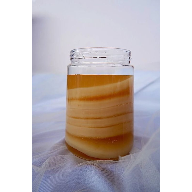 

Scoby dan Starter Kombucha Aktif