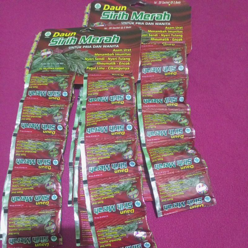 daun sirih merah original