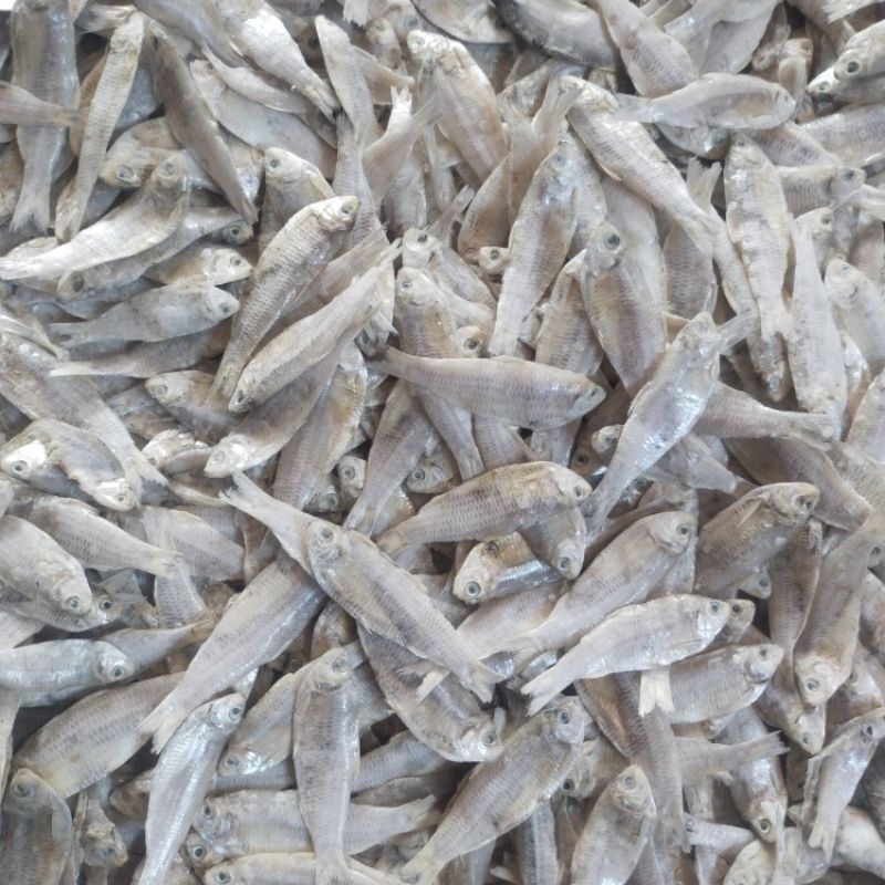 

Ikan Asin kalapan Super Murah 1 kg Enak dan lezat