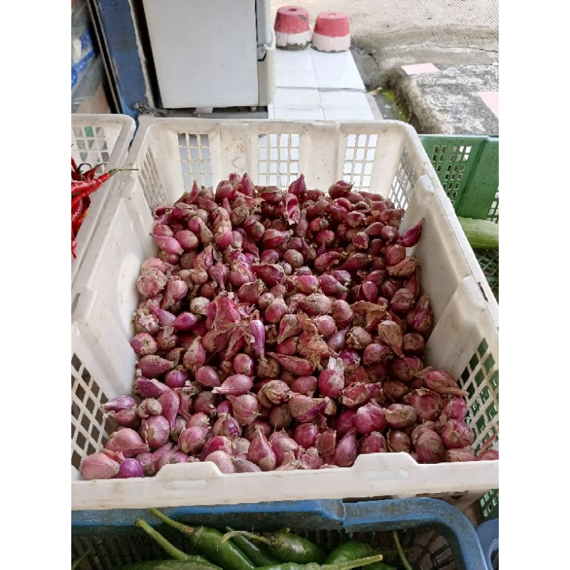 

Bawang Merah Brebes Asli, bawang merah murah, bawang brebes, bawang merah brebes asli murah