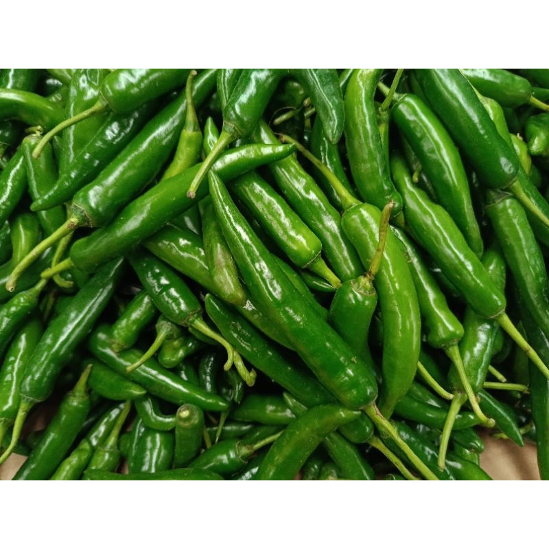 

cabe ijo besar fresh 1 kg,500 gr,250 gr