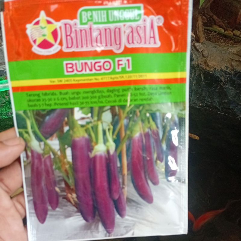 

biji terong / bungo f1 ungu hibrida 5 gr