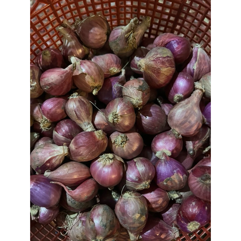 

promo bawang merah jawa