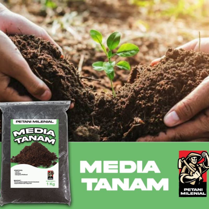Tanah humus ,kompos (media tanam)
