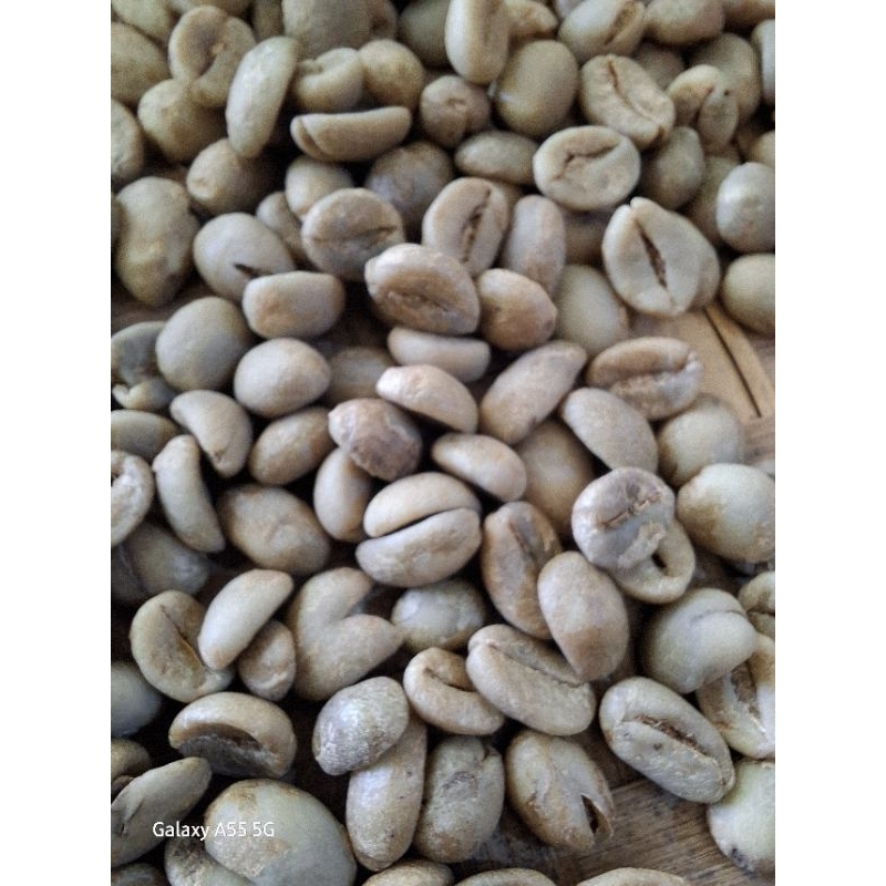 

Kopi Robusta Lereng G.Argopuro. Grade 1( biji 7.5 mm), mutu 1, Biji kopi Super,harga per kg