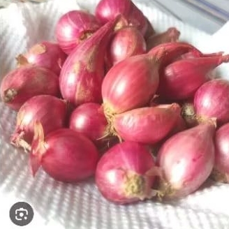 

Bawang Merah Kecil Kering Murah