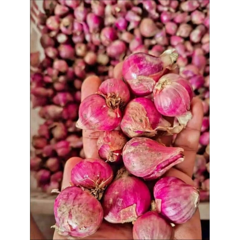 

Kirim.instan bawang merah