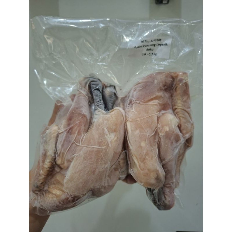 

PROMO AYAM KAMPUNG ORGANIK