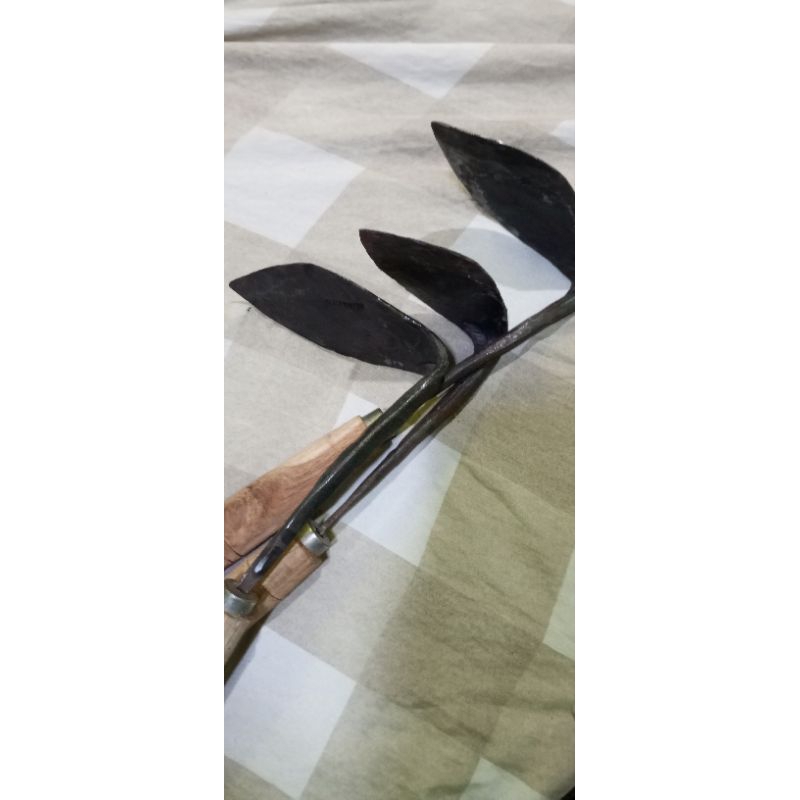 Gatul/koret rumput baja