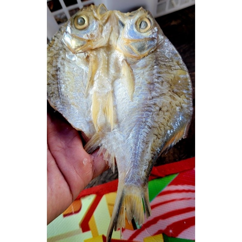 

ikan asin sungai belah