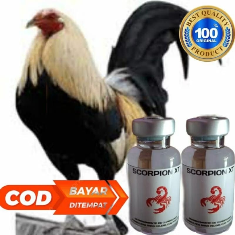 Doping Ayam Aduan Sabung Taji Pisau SCORPION XT Injeksi Suntikan Terbaik Ayam Aduan vitamin