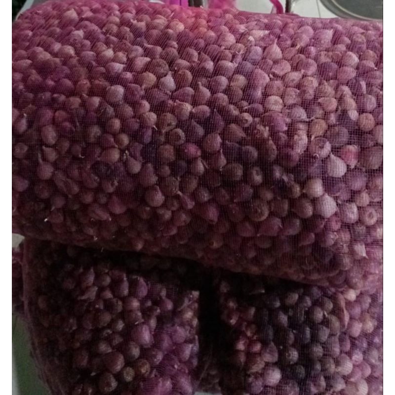 

Bawang lanang 1000gr