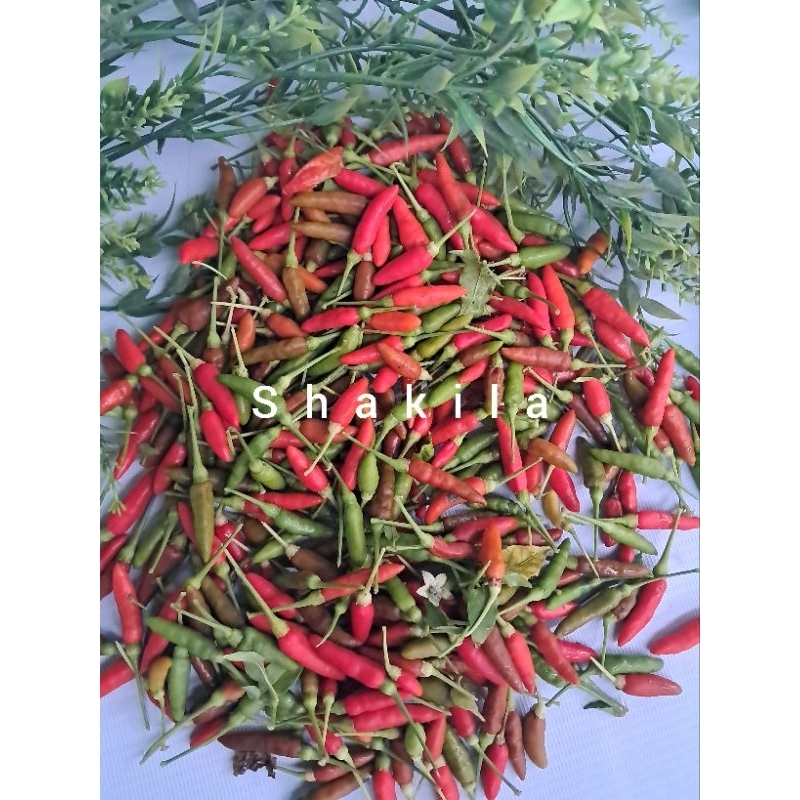 

jual cabe rawit segar atau cengek 300 grm