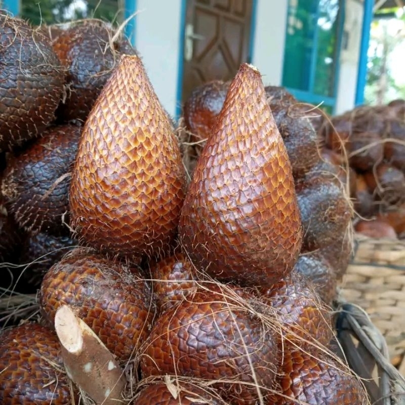 

Salak Pondoh Asli Wonosobo