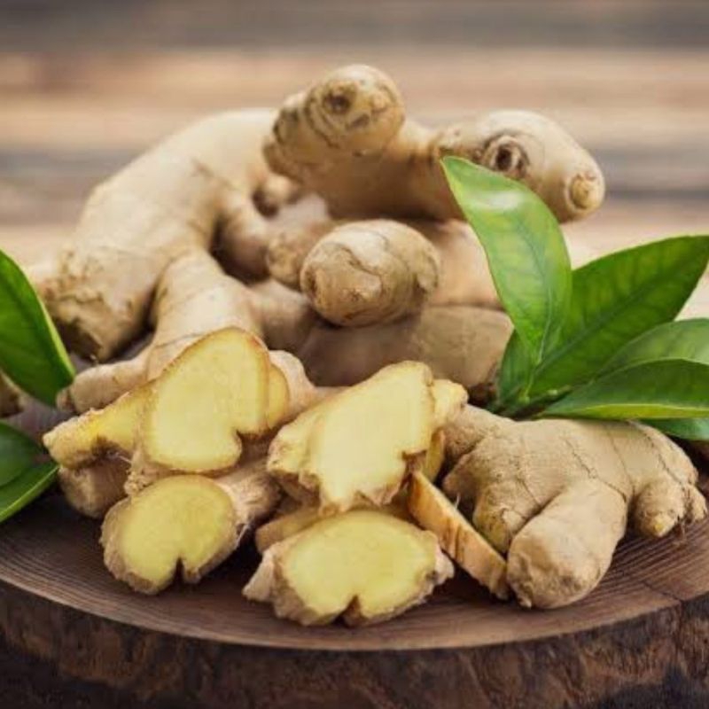 

(1 Kg) Jahe emprit / jahe jawa kaya manfaat