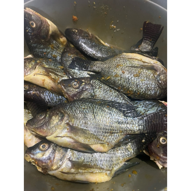

Ikan Nila Marinasi 500gr