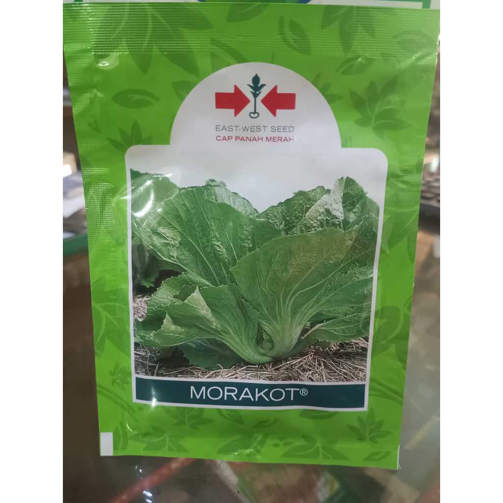 Benih Sawi Pahit caisim MORAKOT cap panah merah