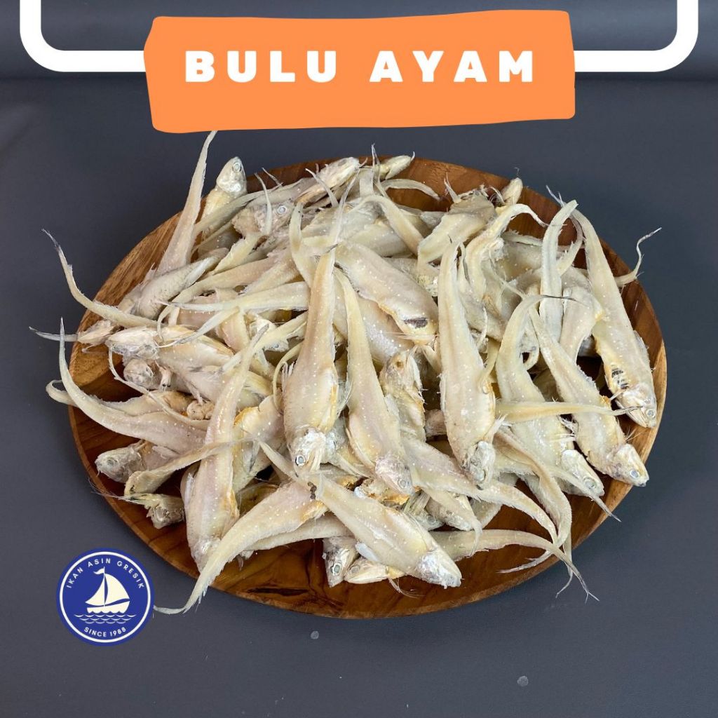 

Ikan Asin Gresik Bulu Ayam rasa asin gurih Kemasan 500gram