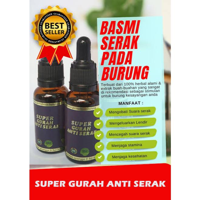 SUPER GURAH ANTI SERAK OBAT BURUNG SERAK GURAH UNTUK SEMUA JENIS BURUNG KICAU TERLARIS