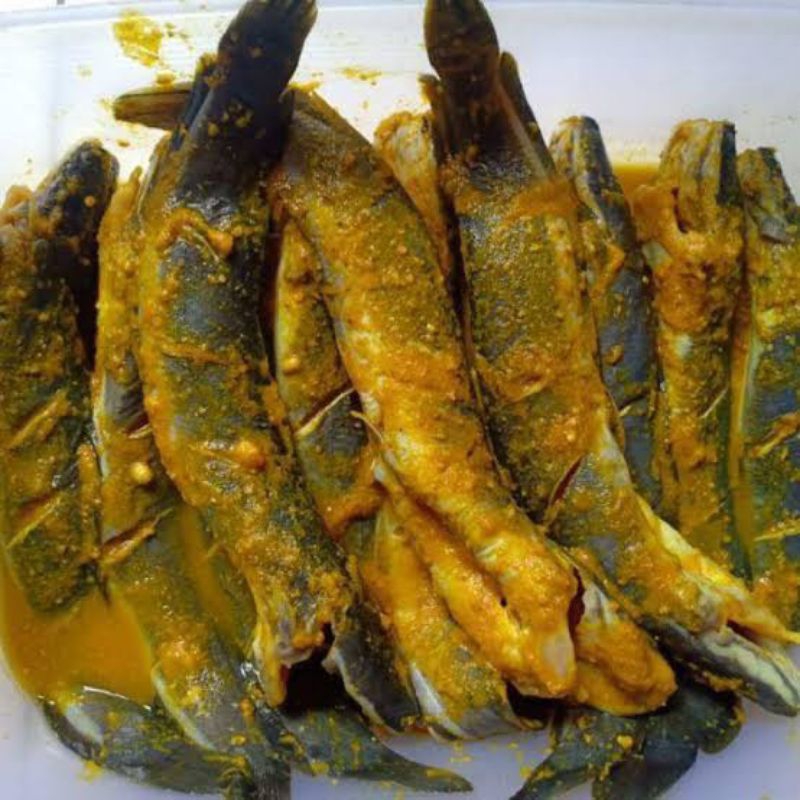 

KIRIM INSTANT • Ikan Lele Ungkep Bumbu Kuning