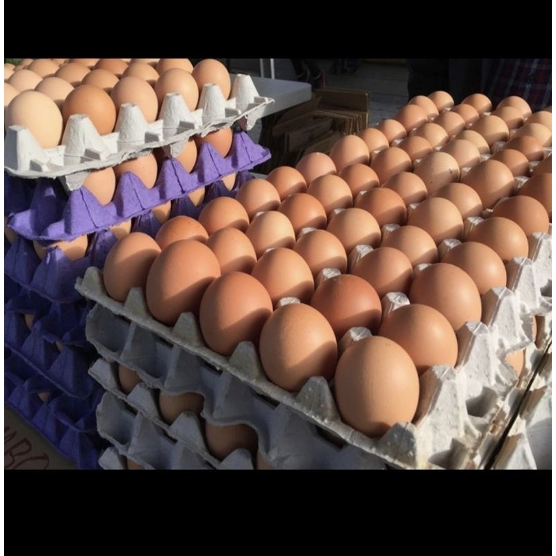 

Telur Ayam Surabaya dan TELUR OMEGA *Khusus Instan