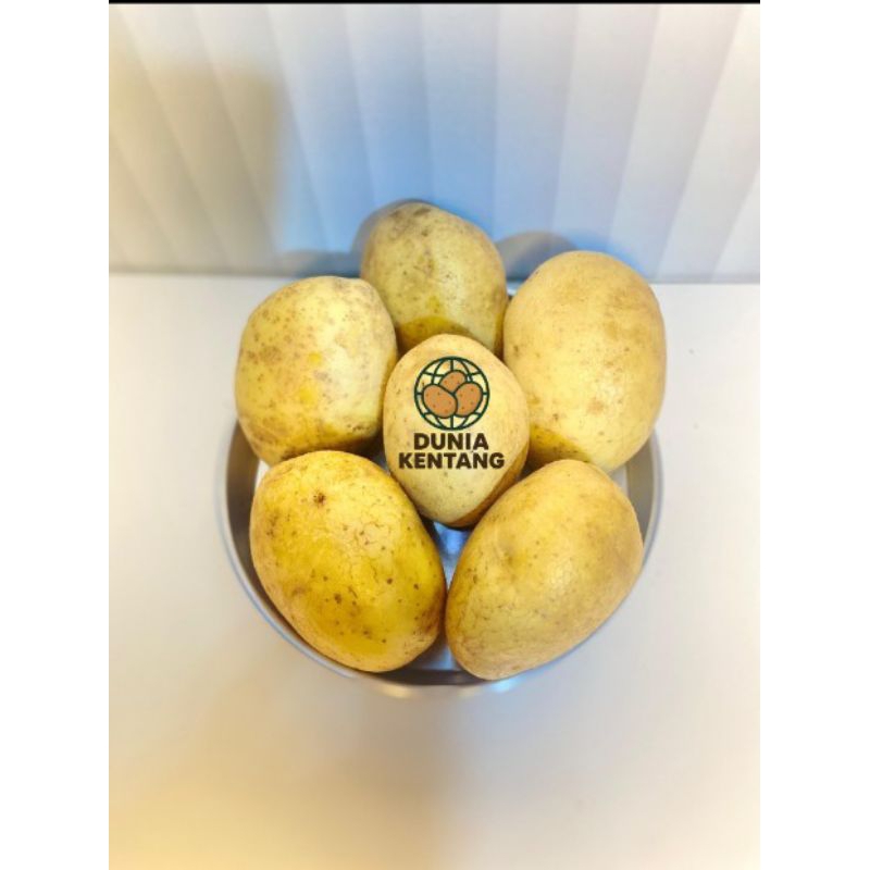 

Kentang Dieng segar berkualitas SUPER ,Sudah Cuci Bersih(ukuran besar)