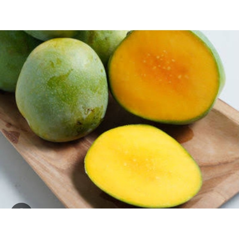 

mangga gedong biasa 1kg