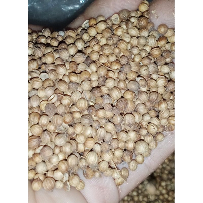 

ketumbar hitam 250g 500g & 1000g