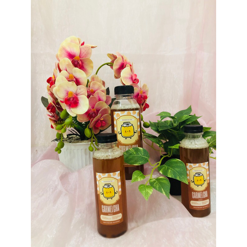 

1 liter kombucha original