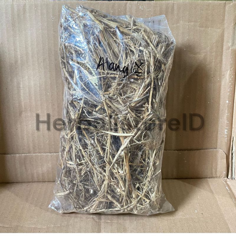 

Akar Alang Alang Kering kemasan 100gram Asli Herbal Ampuh Untuk Kesehatan