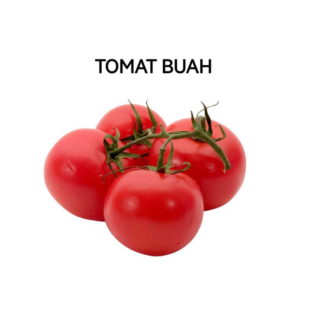 

Tomat Buah segar Fresh Organik