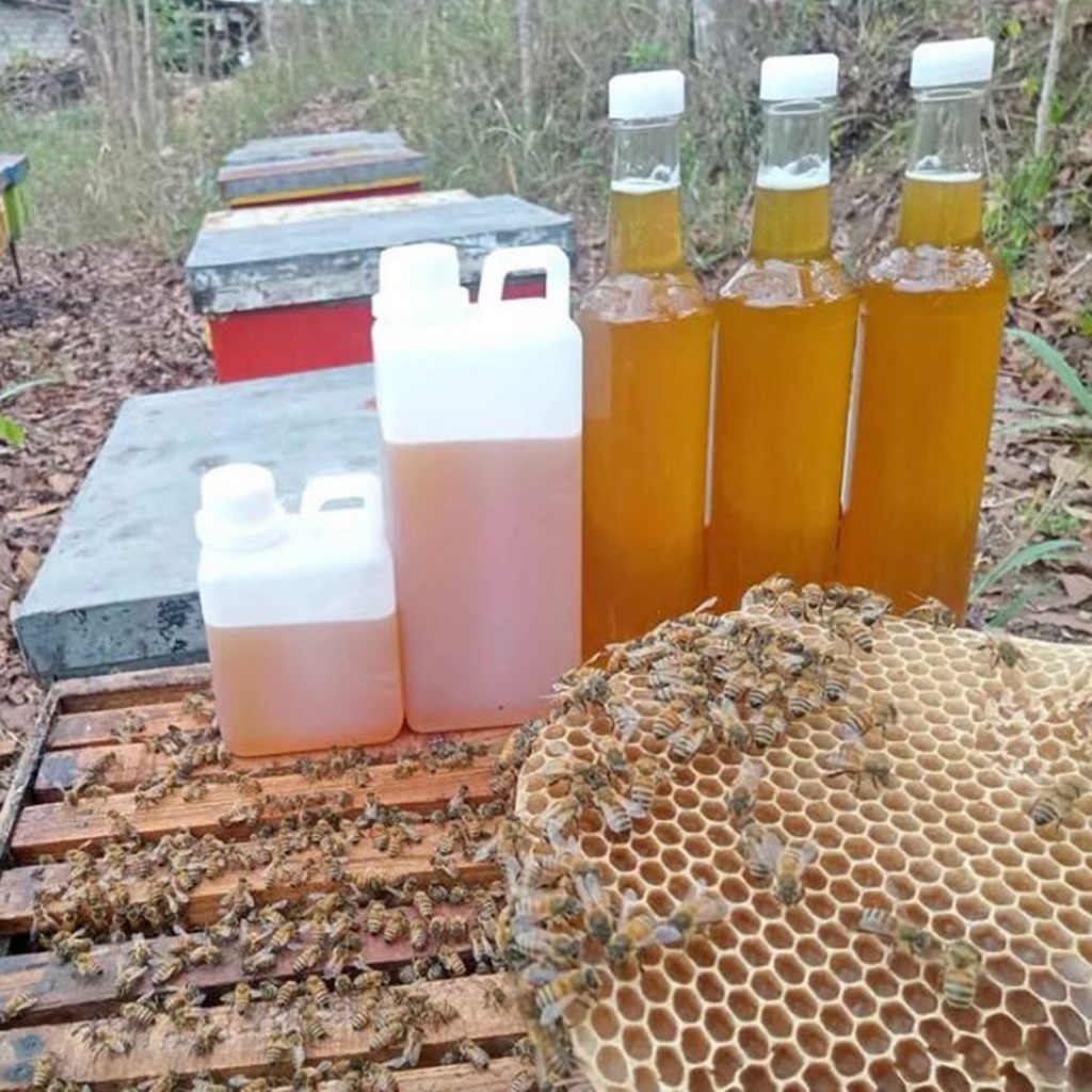 

Madu Murni Asli 100% Tanpa Campuran 1000g 500g 350g 100g – Raw Honey Langsung dari Petani