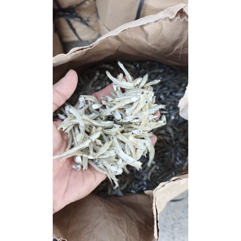 

Ikan teri pekto gepeng kering asli medankualitas super premium