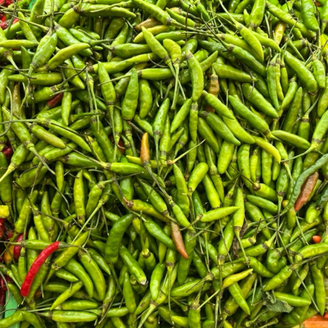 

CABE/CABAI RAWIT HIJAU
