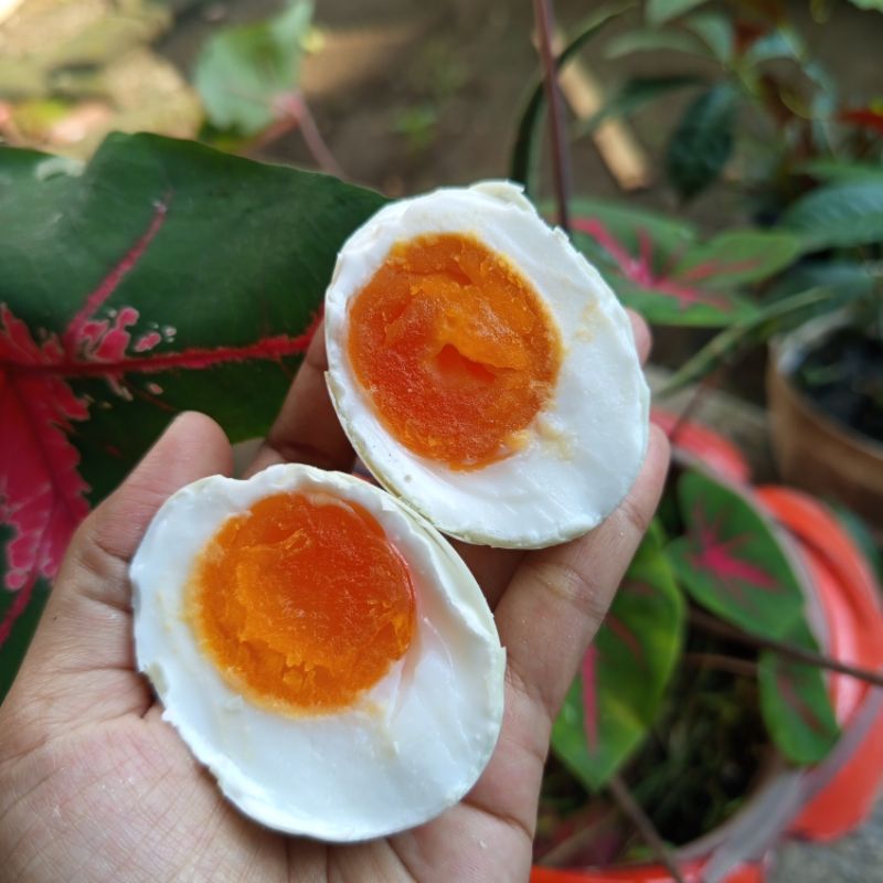 

telur asin