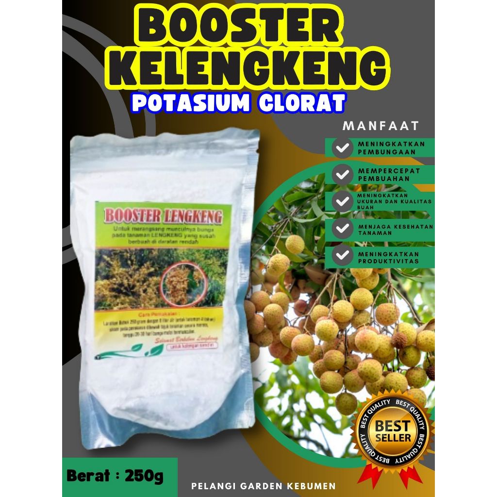DIJAMIN ASLI ! Booster Kelengkeng Kcl03, Booster Kelengkeng Kclo 3 Murni, Booster Kelengkeng Kclo 3