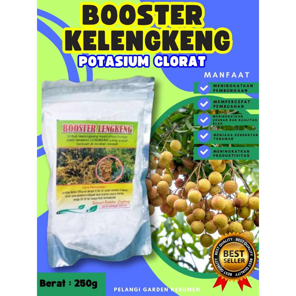 PROMO  Pupuk Buah Kelengkeng Okulasi, Pupuk Buah Kelengkeng Potasium, Pupuk Buah Kelengkeng Pingpong