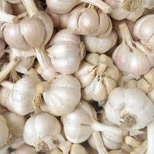 

BAWANG PUTIH KATING GROSIR 1KG TERMURAH BISA KIRIM SELURUH INDONESIA