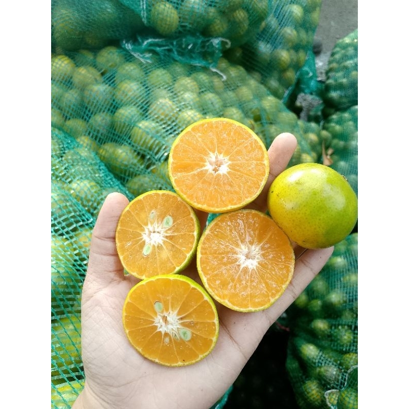 

Jeruk Peras 1kg
