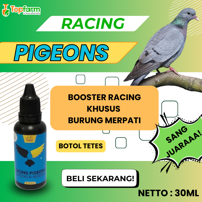 Vitamin Burung Merpati/ Vitamin Stamina Burung Merpati/ Jamu Burung Merpati/ Booster Burung Merpati/