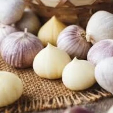 

BAWANG PUTIH TUNGGAL UKURN BESAR berat 500grm