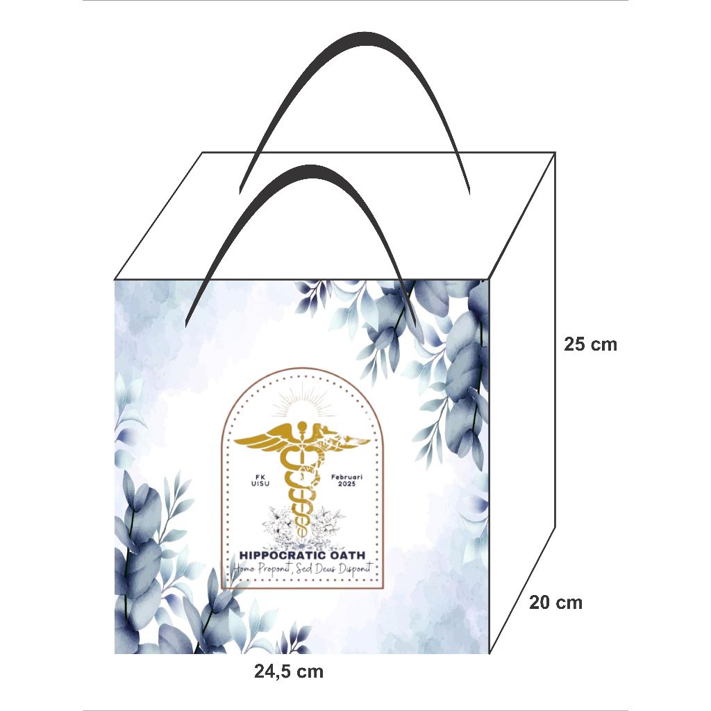 

PAPER BAG custom 24,5 x 20 x 25 cm